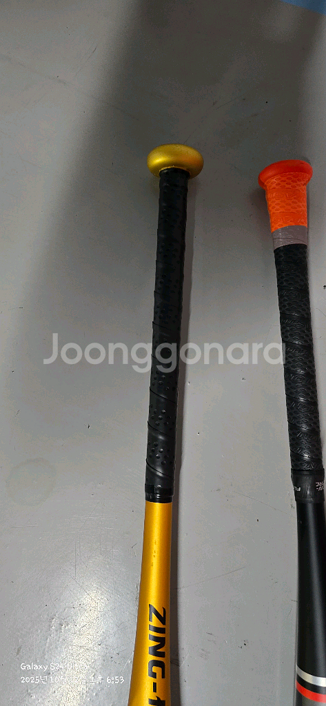 아메리카스 알로이.이스턴 액시멈 카본--2