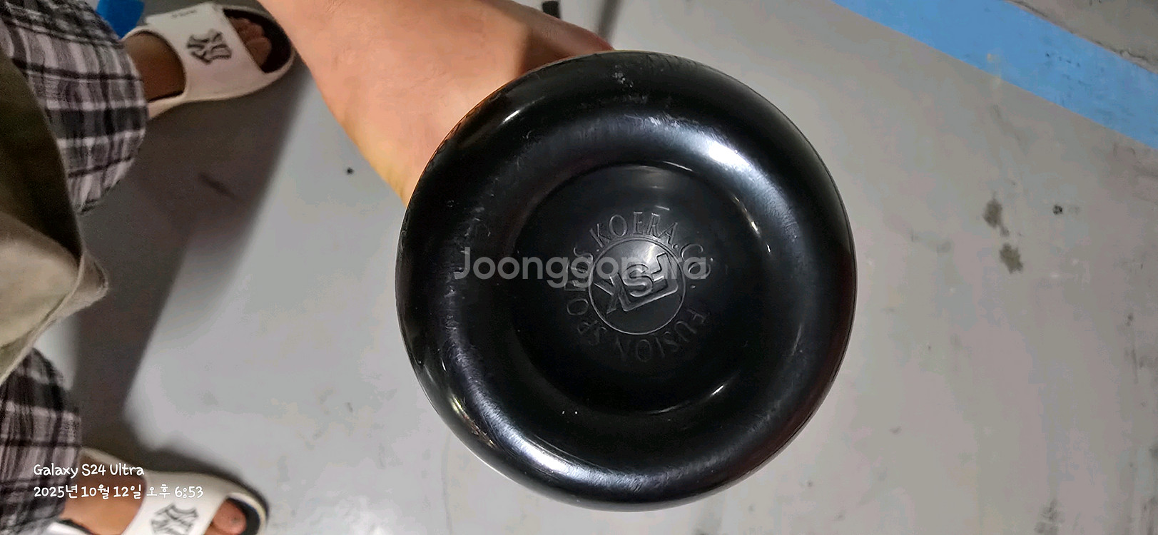 아메리카스 알로이.이스턴 액시멈 카본--5