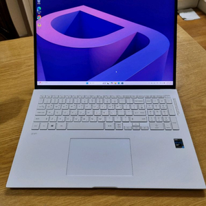 대구 LG 그램 17인치 i7 램16g ssd512