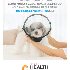 강아지 고양이 산소 넥카라 새상품