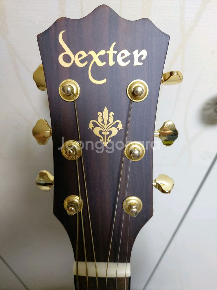 덱스터 DELUXE CUSTOM CEQ 통기타--6