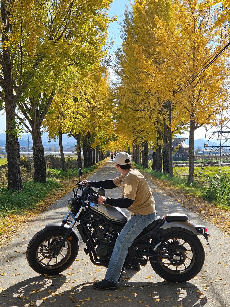 2024 혼다 레블 500(CMX500) 팝니다. 이미지