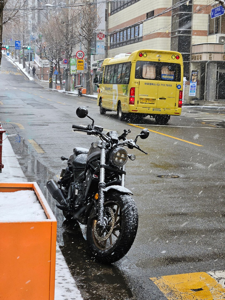 2024 혼다 레블 500(CMX500) 팝니다. 이미지