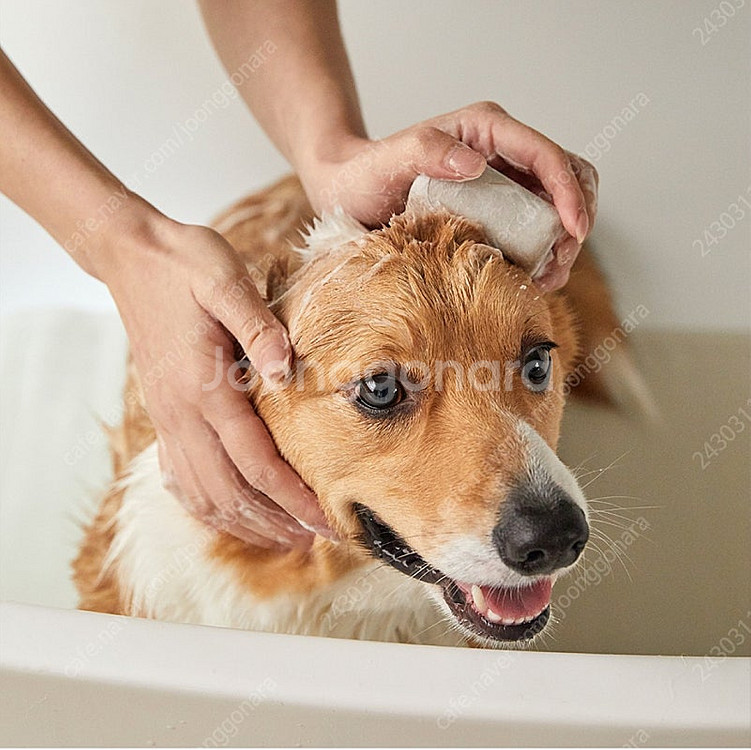 펫토 마일드배스바 강아지 비누 저자극 발비누 샴푸 중성--1