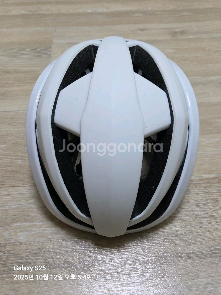 홍진 아이벡스 2.0--0