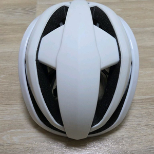 홍진 아이벡스 2.0