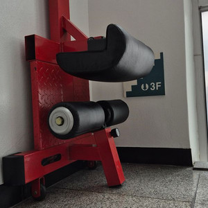 스트렝스 라이프 힙 스쿼트 벤치 검빨 팝니다.(10)