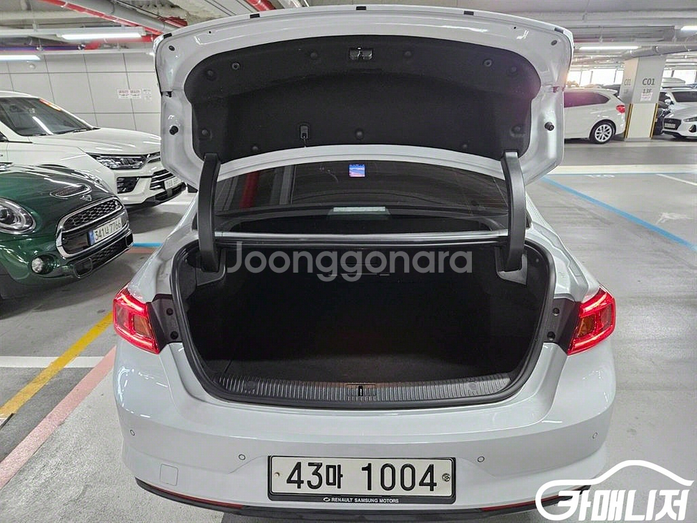 [르노코리아(삼성)]SM6 가솔린 1.6 TCe RE--6