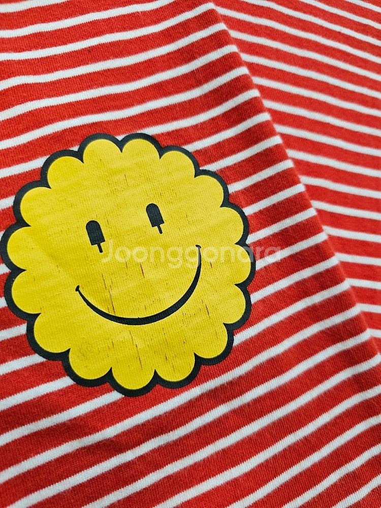 아이스비스킷 155사이즈--3