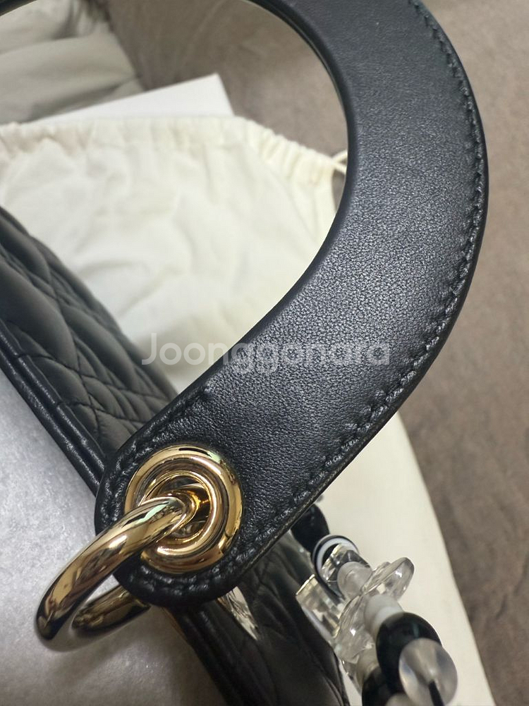 디올 레이디백 스몰 블랙--9