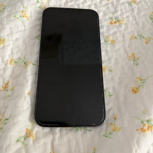 아이폰 13 프로 시에라블루 256GB,케이스,필름