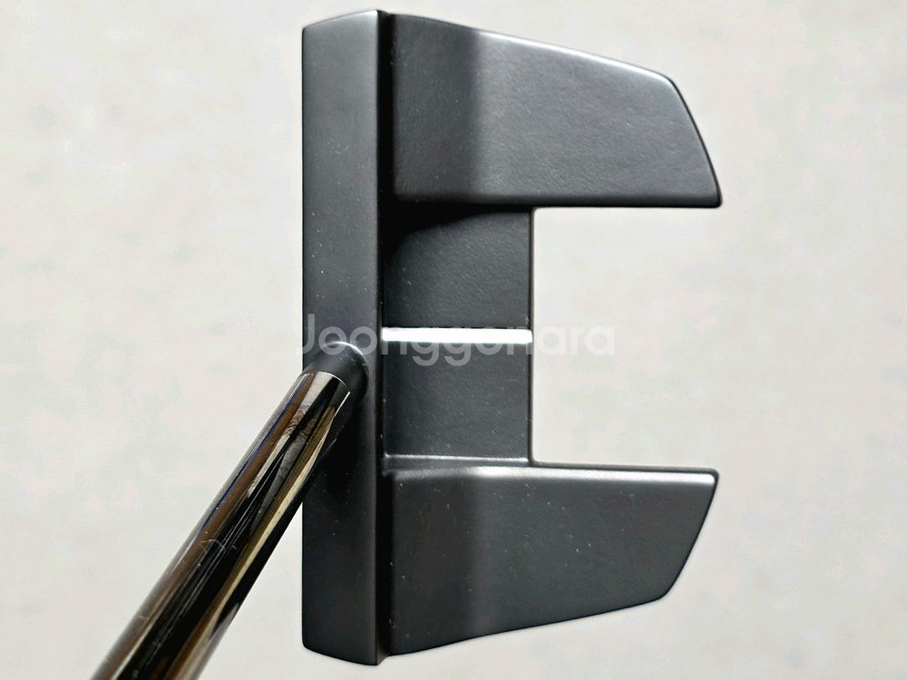 핑 21년 TYNE C 35 판매합니다--0