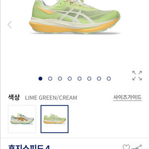 아식스 후지스피드4 트레일러닝화