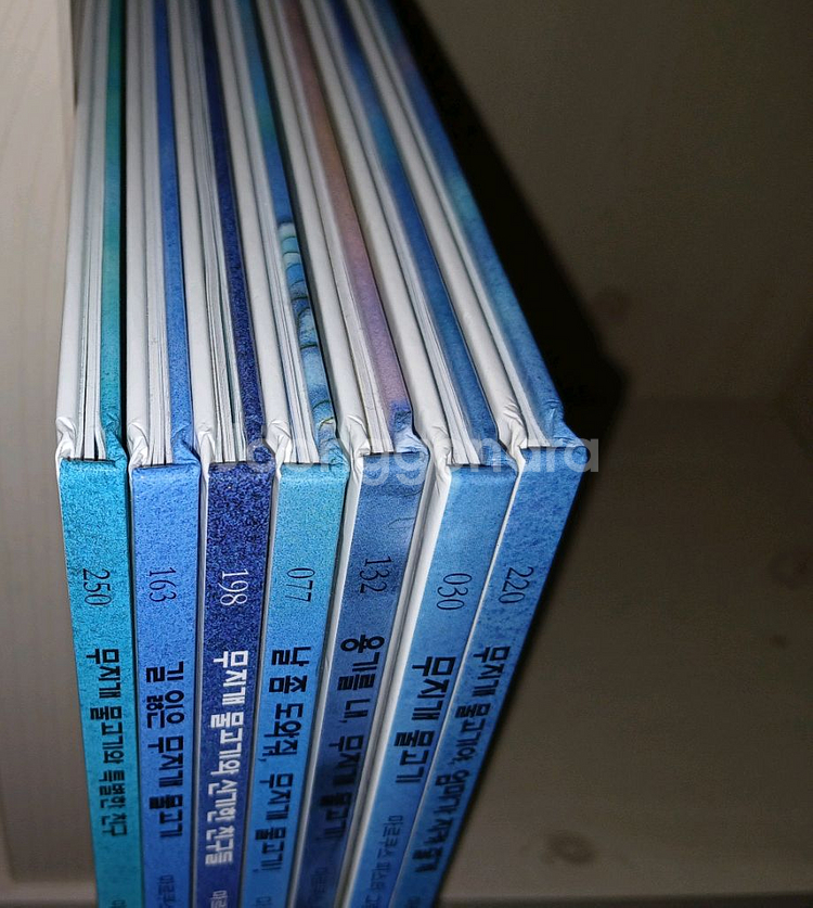 무지개 물고기 시리즈--1