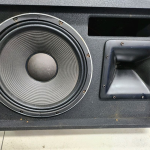 PHONIC 포닉 CENTER12M 8옴 300와트