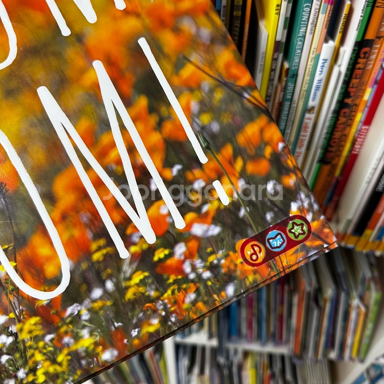 영어 원서 그림책--3