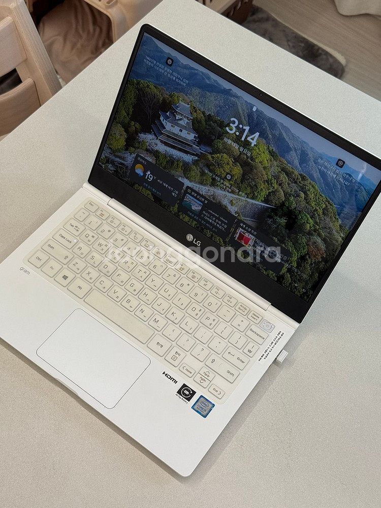 LG그램(13ZD980-GX50K) AAA급--1
