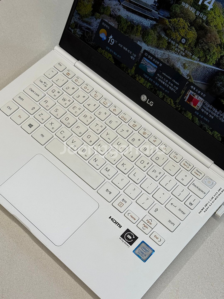 LG그램(13ZD980-GX50K) AAA급--3