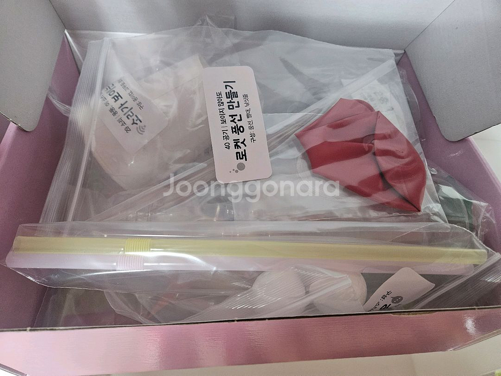 내친구과학공룡--2