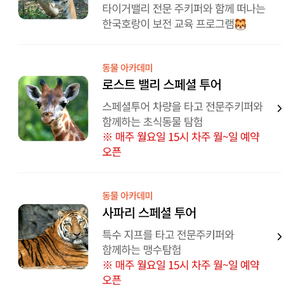 에버랜드 스페셜투어 팝니다