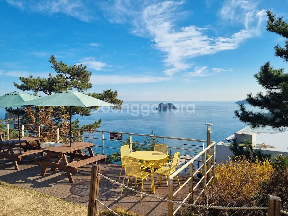 ㅇㄷㅇ 소방시설관리사 1,2차 인강 26년 12월말까지--0