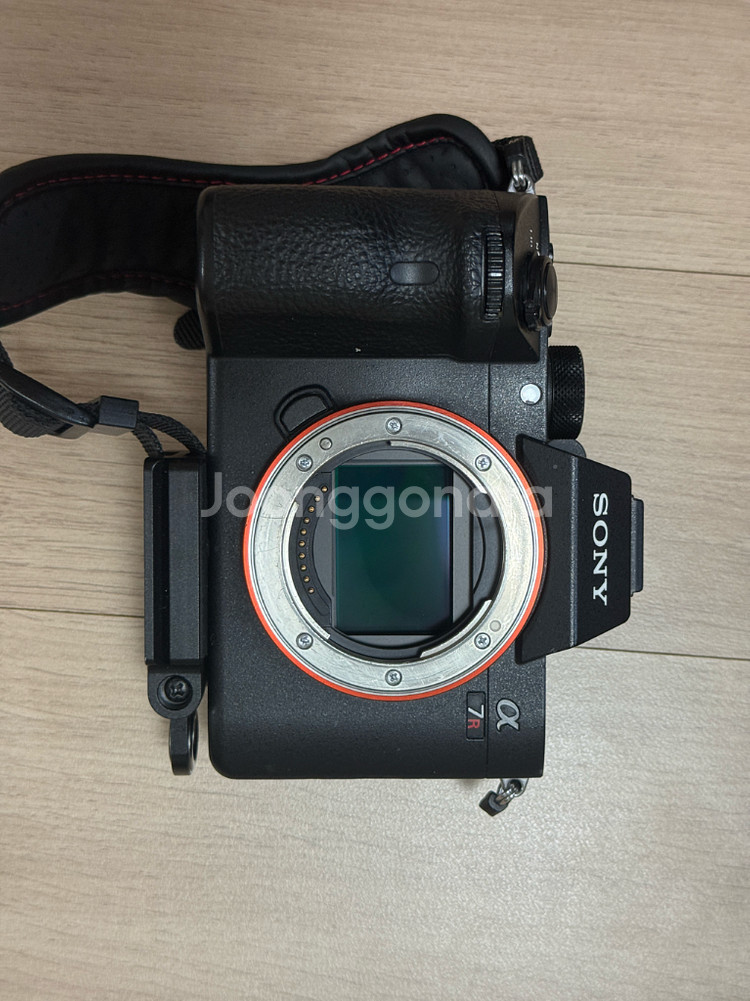 SONY A7R3--0