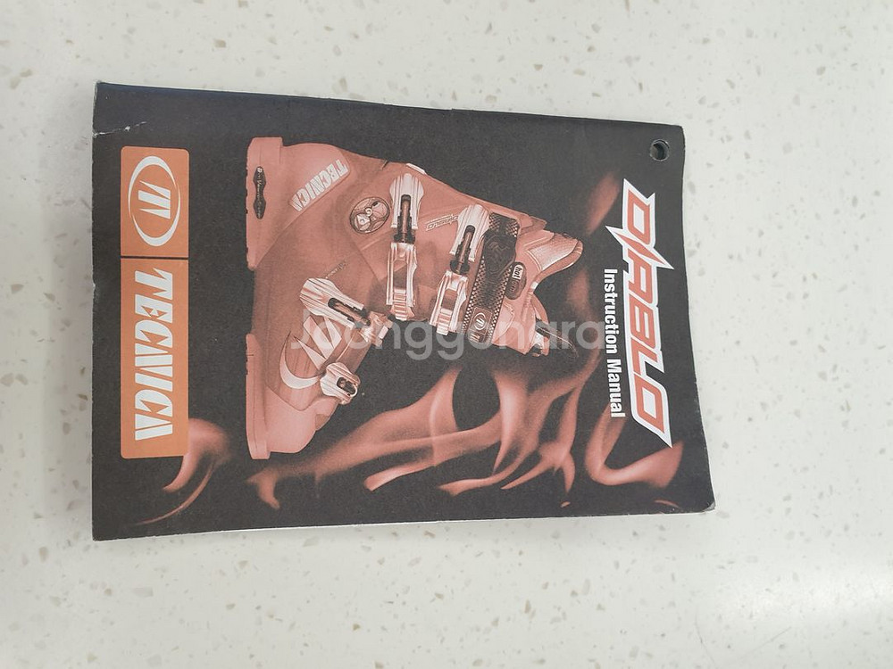 테크니카 스키부츠/여성용 레이싱 디아블로 프로--5