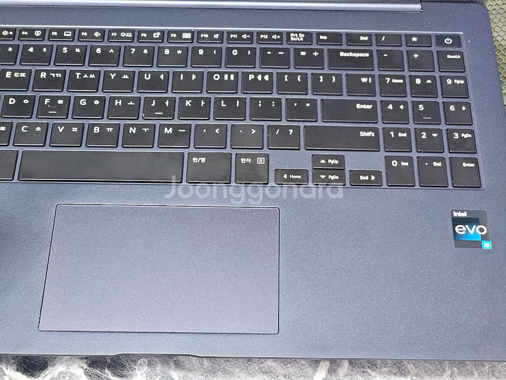 LG 그램 노트북 15.6인치 OLED 새액정 13세대--2