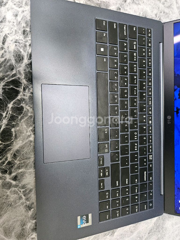 LG 그램 노트북 15.6인치 OLED 새액정 13세대--7