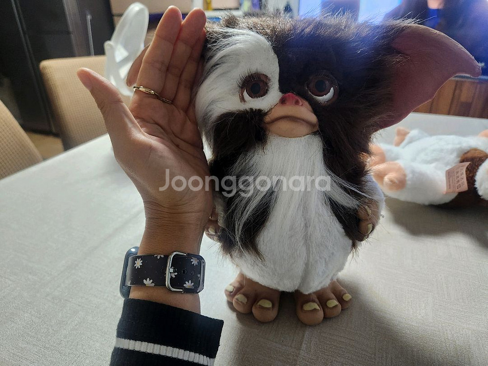 기즈모 모과이 인형--2