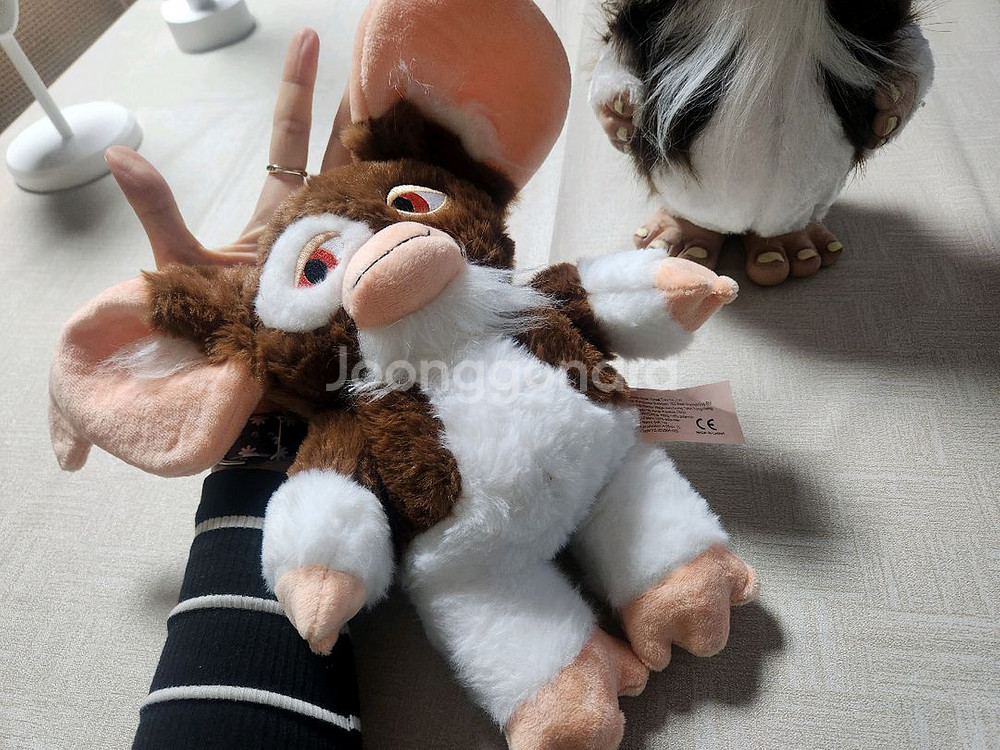 기즈모 모과이 인형--1