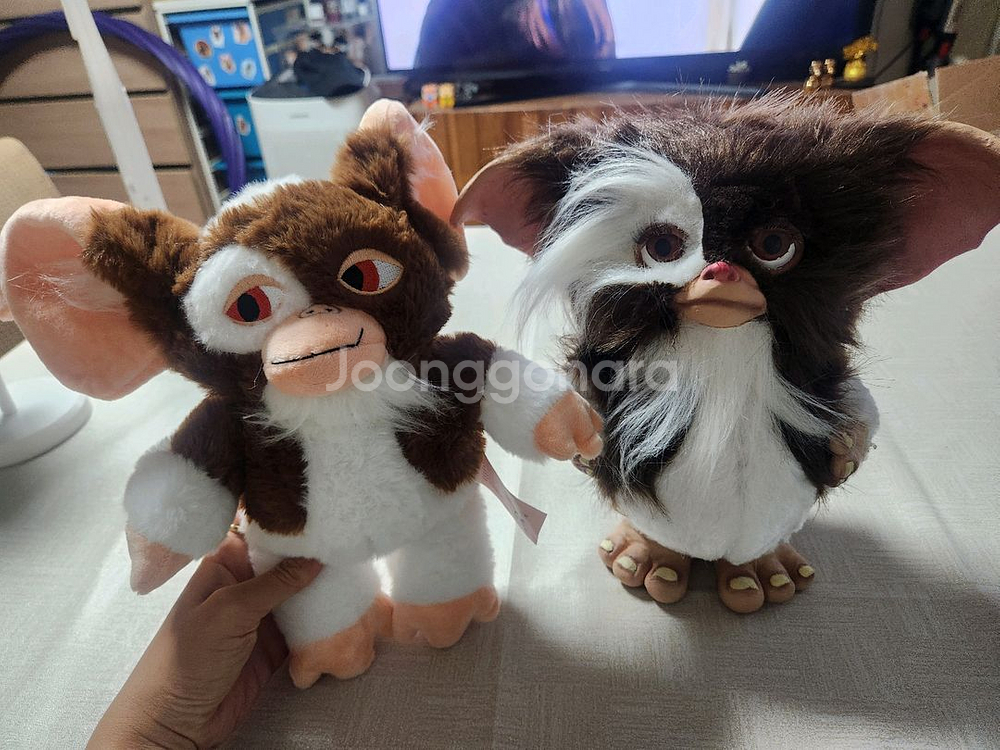 기즈모 모과이 인형--0