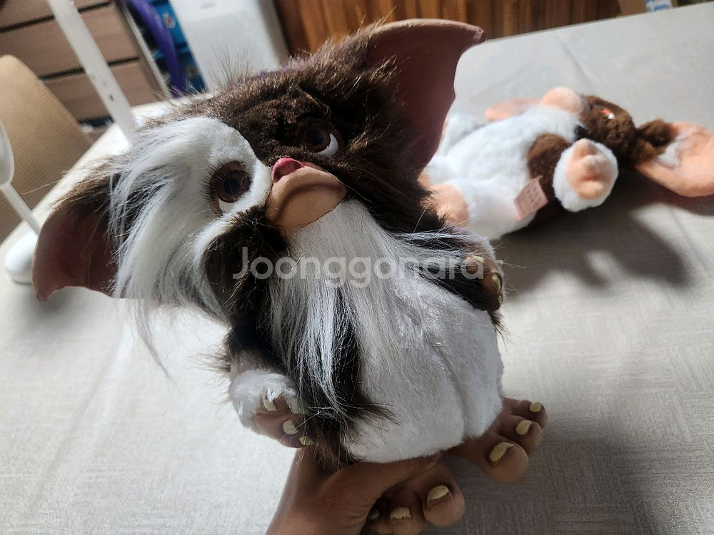 기즈모 모과이 인형--5