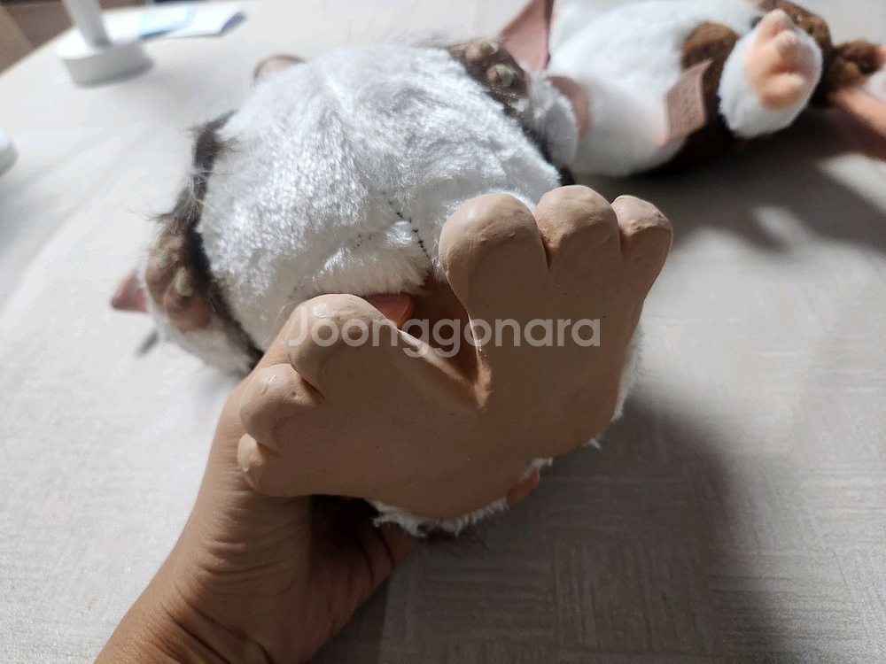 기즈모 모과이 인형--4