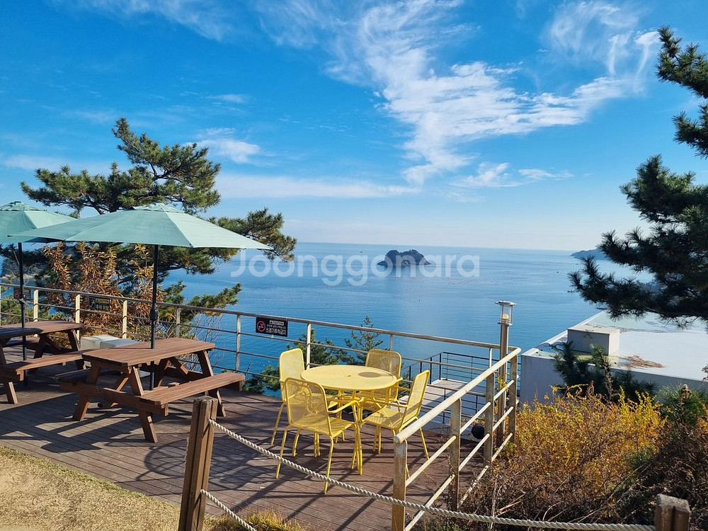 ㅇㄷㅇ 행정사 인강 2026년12월말까지--0