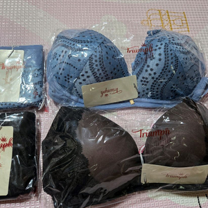 새상품)트라이엄프브라세트 85A100