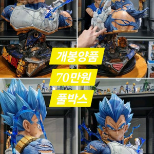 드래곤볼 레진 다수 판매합니다.