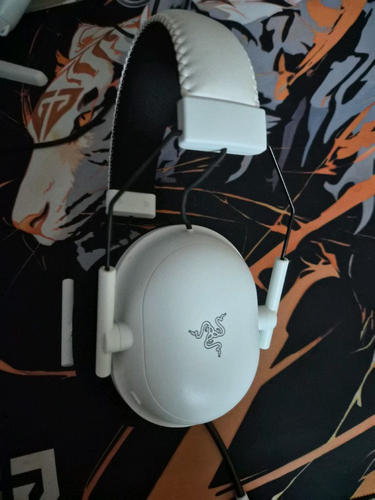 레이저 블랙샤크 v2프로 이미지