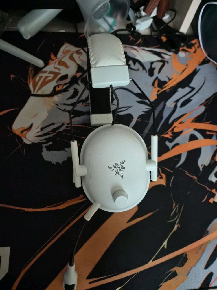 레이저 블랙샤크 v2프로 이미지