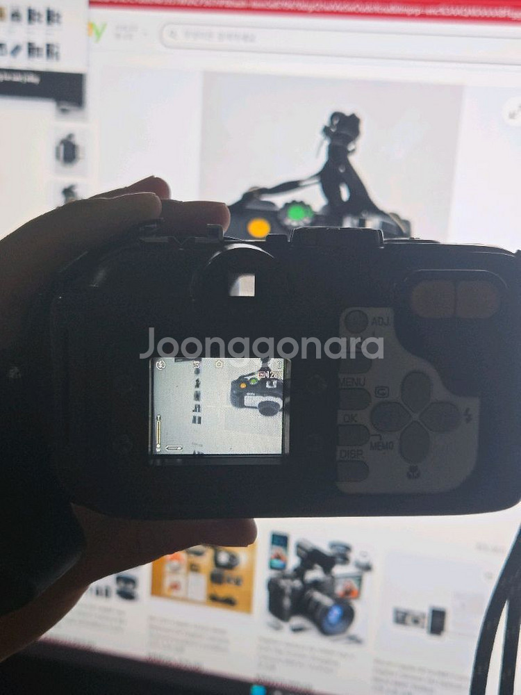 [빈티지디카] 리코 카플리오 400g . 작례O--1