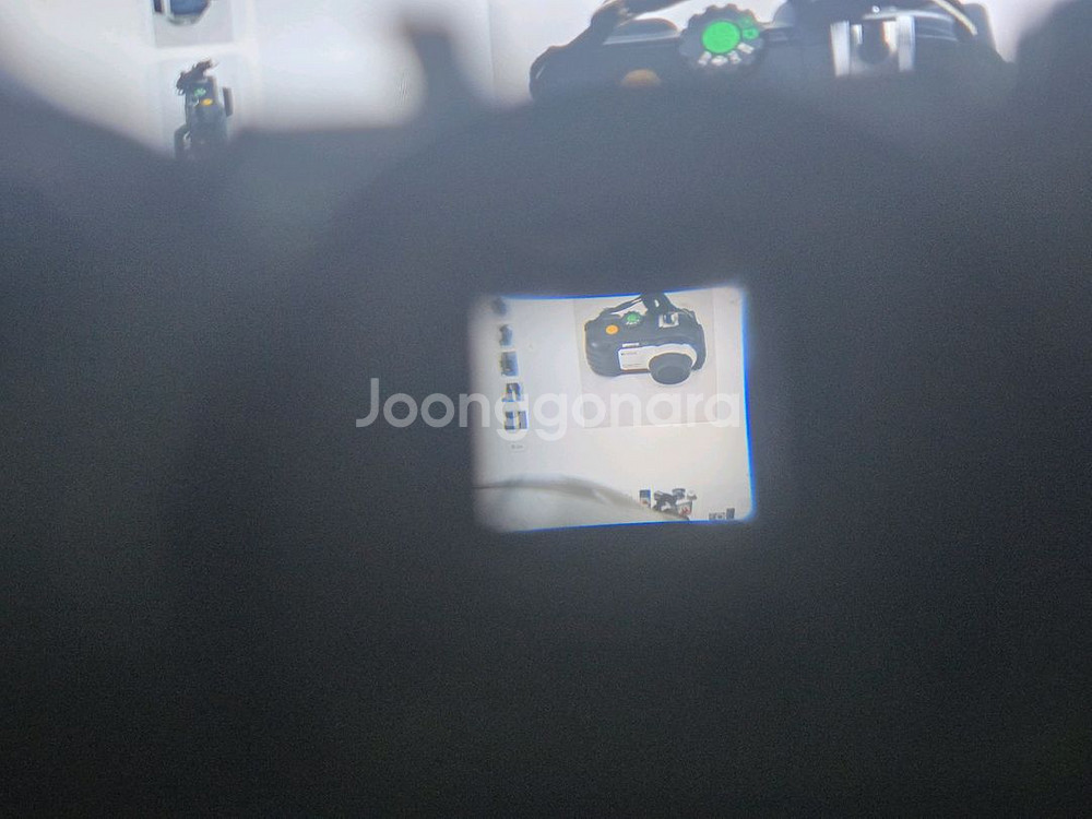 [빈티지디카] 리코 카플리오 400g . 작례O--2