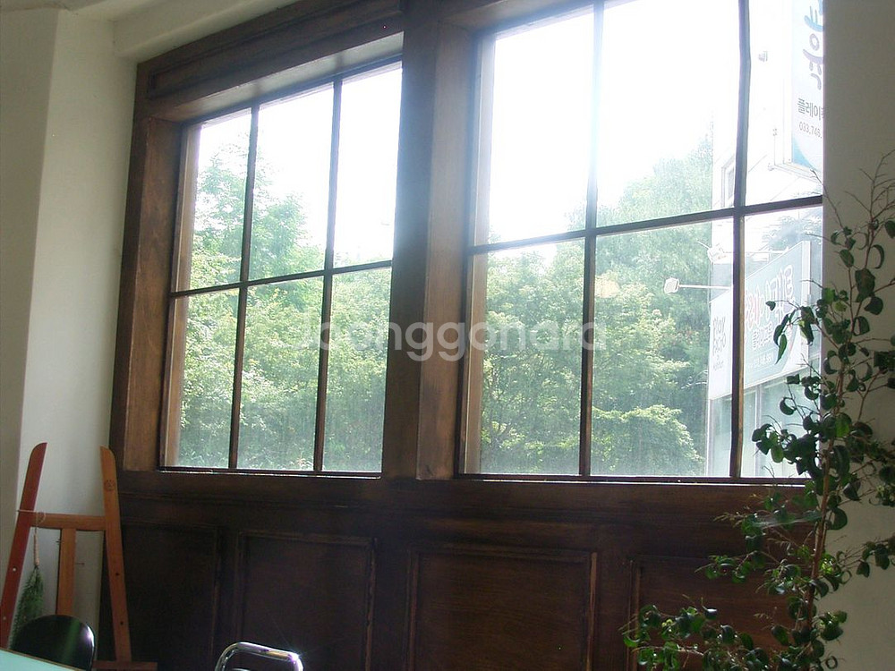 [빈티지디카] 리코 카플리오 400g . 작례O--7