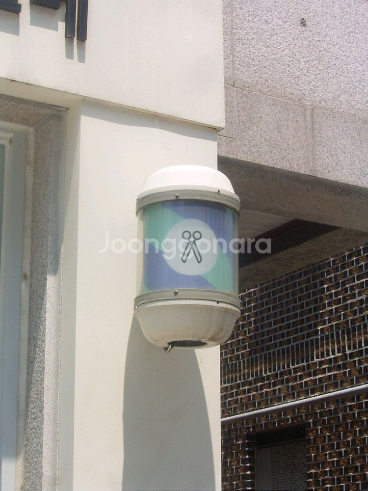 [빈티지디카] 리코 카플리오 400g . 작례O--9