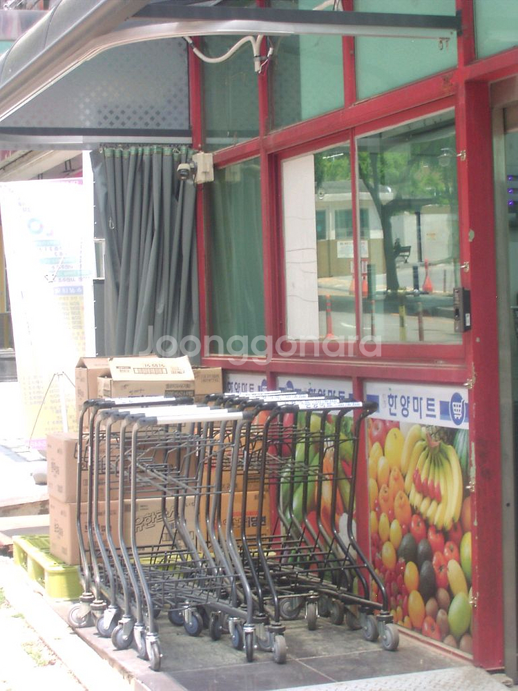 [빈티지디카] 리코 카플리오 400g . 작례O--5