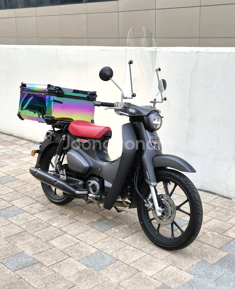 2024년식 혼다 C125 슈퍼커브 판매합니다.--0