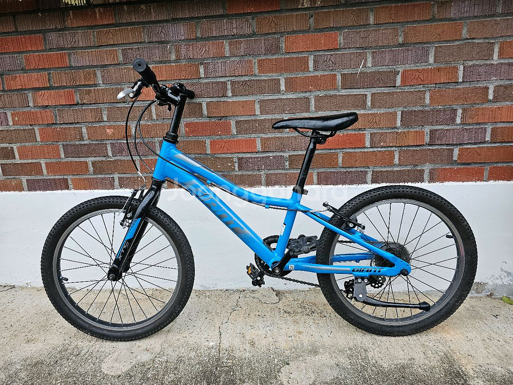 자이언트 아동 어린이 자전거--0