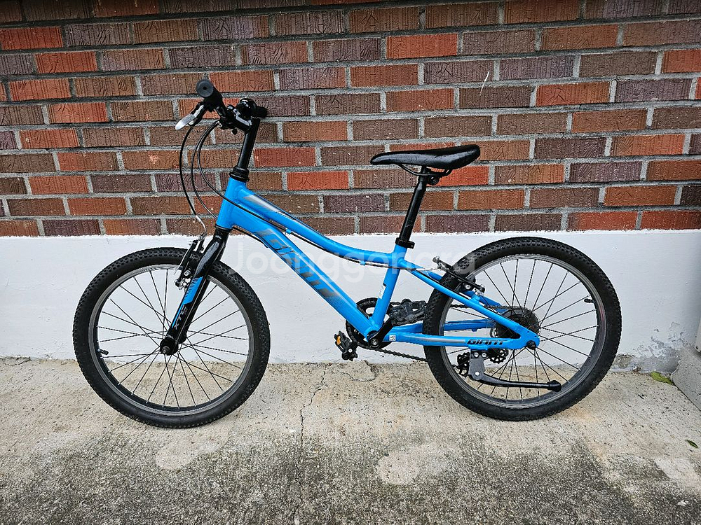 자이언트 아동 어린이 자전거--1