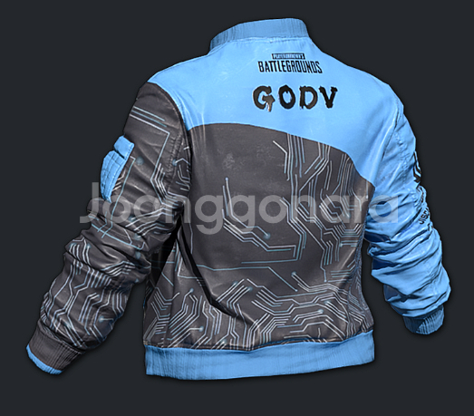 배그 godv 자켓 초특가 스킨 코드--0