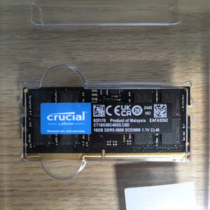 크루셜 Crucial DDR5 5600 16GB 램