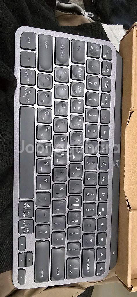 로지텍 mx keys mini--0